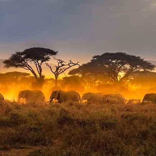 Best Africa Cruise Deals